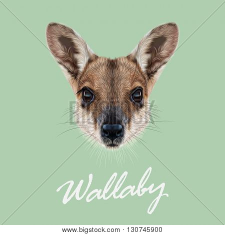 Vector Illustrated Portrait of Wallaby. Cute face of wild Australian mammal Wallaby on green background.