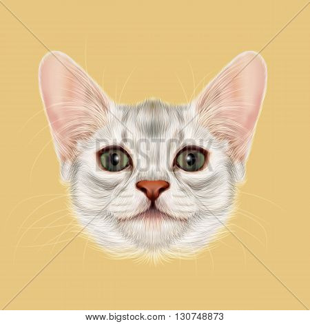 Illustrated portrait of Somali kitten. Cute fluffy face of domestic cat on yellow background.