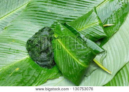 Freshwater Algae (spirogyra Sp.) Ready Is Used To Make Food