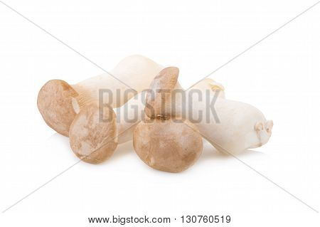 King Oyster Mushroom (eringi) On White Backgroud
