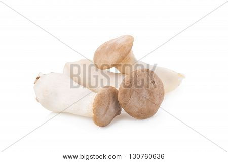 King Oyster Mushroom (eringi) On White Backgroud