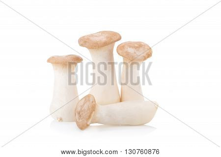 King Oyster Mushroom (eringi) On White Backgroud