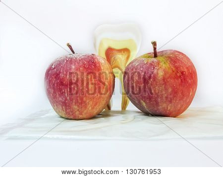Two Apples and an artficial tooth.Apple good for dental health.An apple a day keep the doctor away.