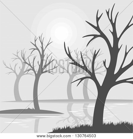 Bare trees on a swamp fog with reflection in water