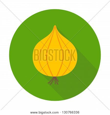 Onion Flat Circle Icon