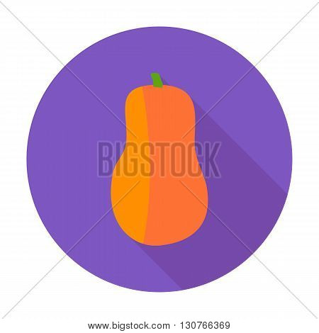 Pumpkin Flat Circle Icon