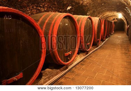 Botti di vino accatastati nella vecchia cantina dell'azienda vitivinicola.