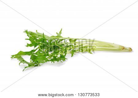 Mizuna Greens On White Background
