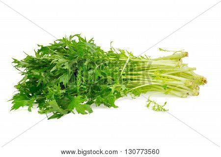 Mizuna Greens On White Background