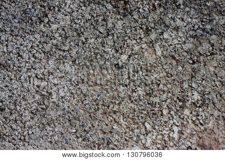 Stone is the most beautiful ever seen
