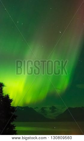 Green light reflects off Gregwing Glacier from the aurora overhead.