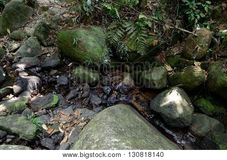 Stream in the jungle near the Juara beach, Tioman island, Malaysia