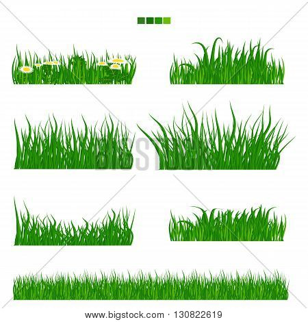 Illustrated vector green Grass with flower and leaf set with solid flat color. Long and short grass collection