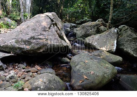 Stream in the jungle near the Mukut beach, Tioman island, Malaysia