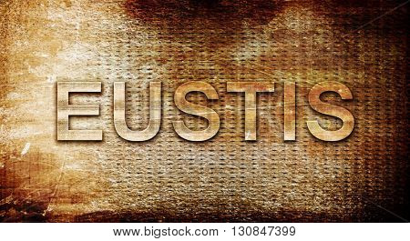 eustis, 3D rendering, text on a metal background