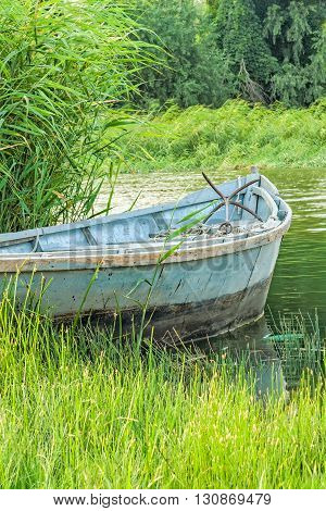 Old fishing boat in the reeds on the river in the evening sun