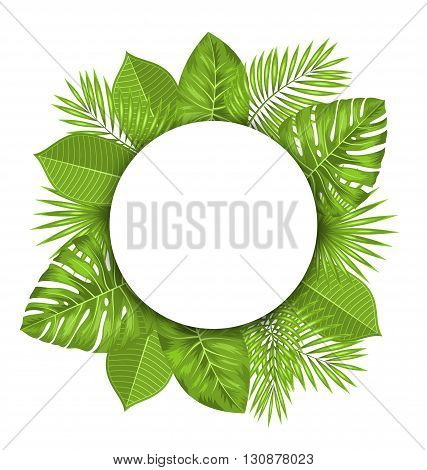 Illustration Clean Card with Text Space and Green Tropical Leaves - Vector