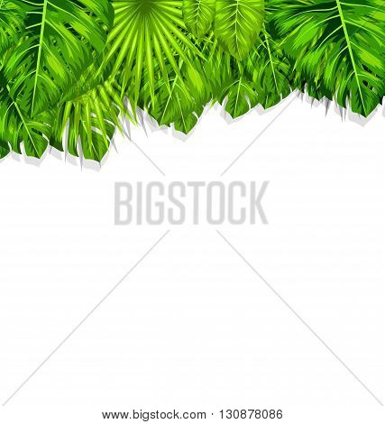 Illustration Natural Frame with Green Tropical Leaves, Summer Beautiful Background - Vector