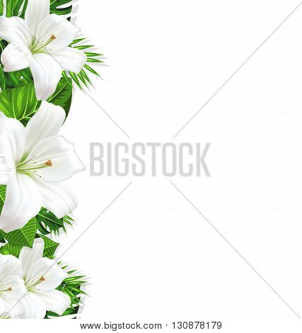 Frame border background branch with tropical leaves and white flowers lily, space for text, design template - vector