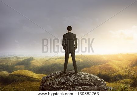 Business man standing on the top of the mountain looking at the valley. Business success concept