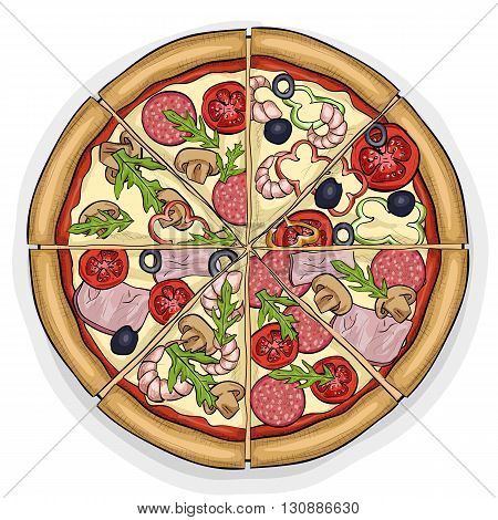 In the picture typical pizza with tomato, mozzarella, cheese and mushrooms. Vector illustration, EPS 10