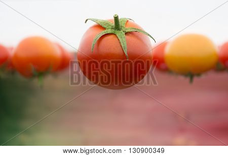 Fresh tomatoes floating on air and a colorful background