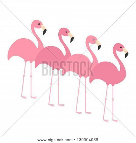 Four pink flamingo set. Exotic tropical bird. Zoo animal collection. Cute cartoon character. Decoration element. Flat design. White background. Isolated. Vector illustration