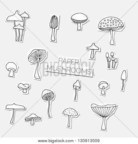 Set of hand drawn mushrooms. Vector edition.