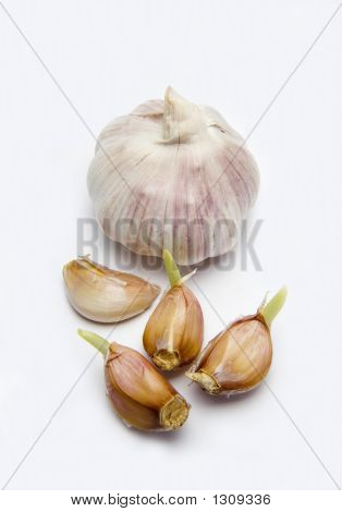 Bulbo de alho