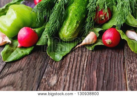 Fresh ingredients for salad - sorrel leaves radishes cucumber sweet pepper garlic dill on wooden background. Rustic table with tasty vegetables. Place for text.