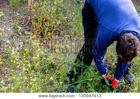 Worker is working hard in a garden