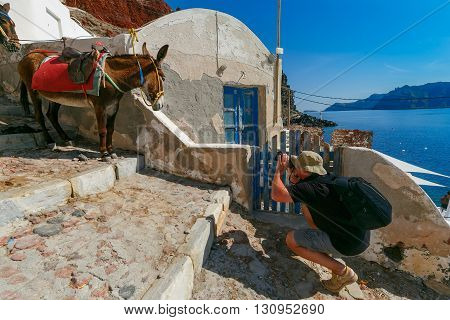 Photographer traveler takes pictures donkey in Old port Amoudi of Oia village at Santorini island in Aegean sea, Greece