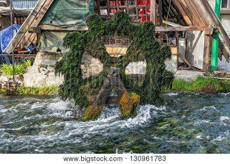 The large wooden wheel covered with moss which runs the mill