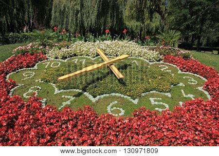 Flowers Clock In Bomehian City Podebrady