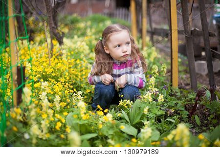 Little girl sitting in yellow flowers in spring garden