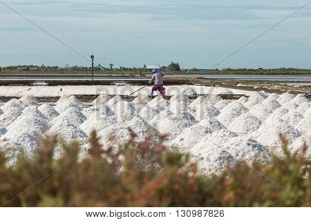 Collected of salt from sea water in salt farm Thailand.