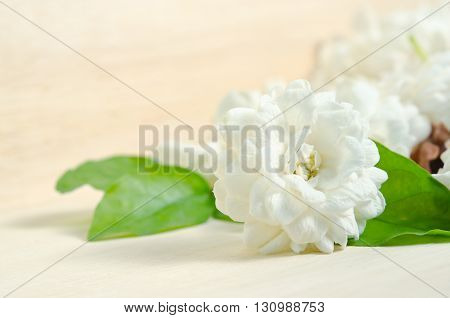 Jasmine (Other names are Jasminum Melati Jessamine Oleaceae) flowers grouped on wooden board background