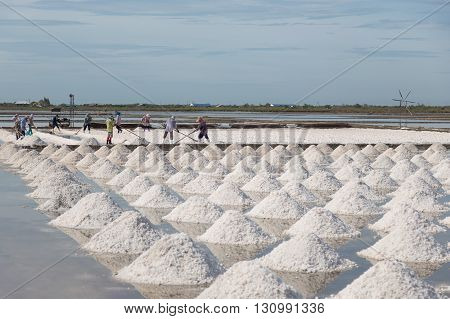 Collected of salt from sea water in salt farm Thailand.