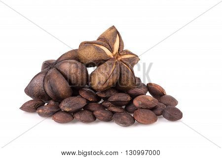 Sacha Inchi Peanut Seed Isolate On White Background