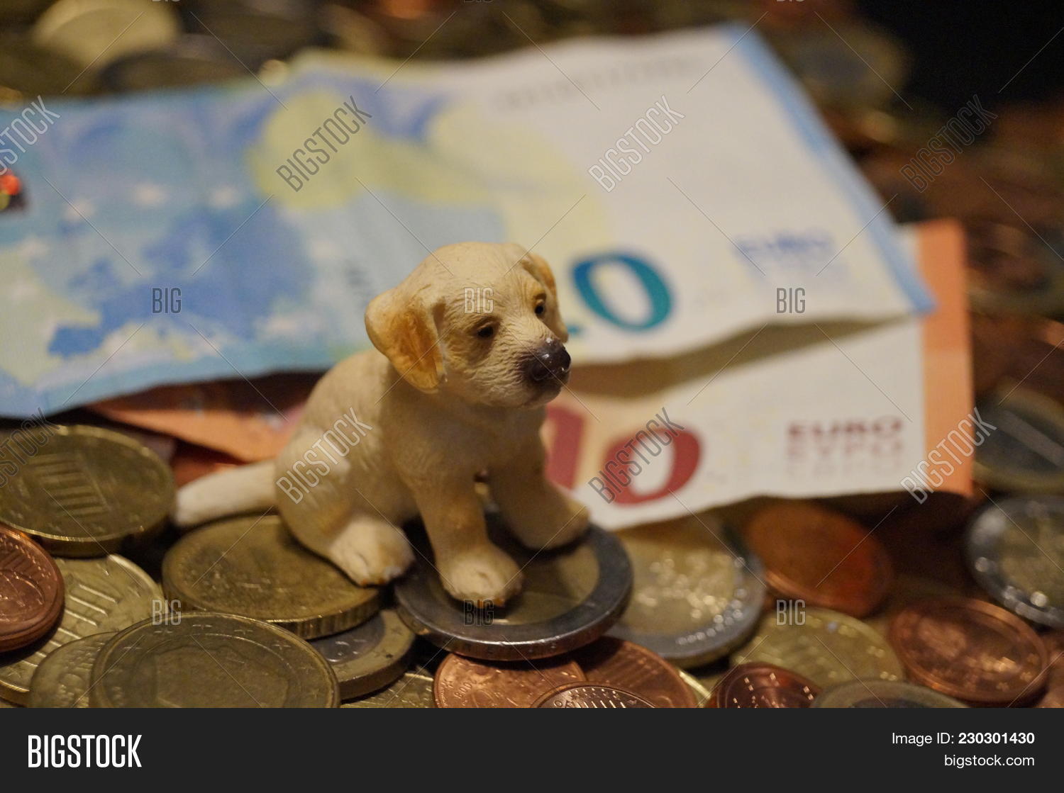Costs Pet Veterinarian Image & Photo (Free Trial) Bigstock