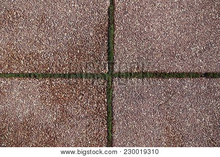 Exposed Aggregate Pavement With Crossed Joints With Moss