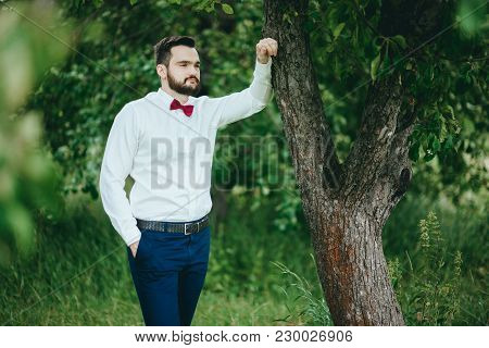 Stylish. Bearded Groom In A Butterfly Posing In The Park. Rustic Hipster Portrait.