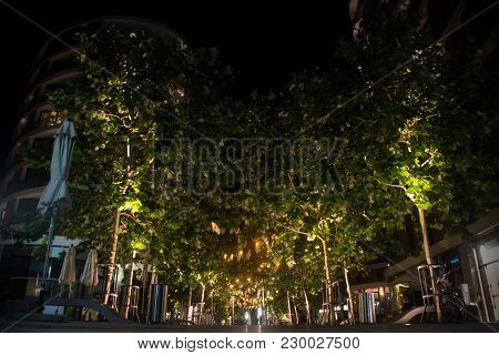 Trees Of Florentine Quartet Promenade, Tel-aviv Shopping Mall