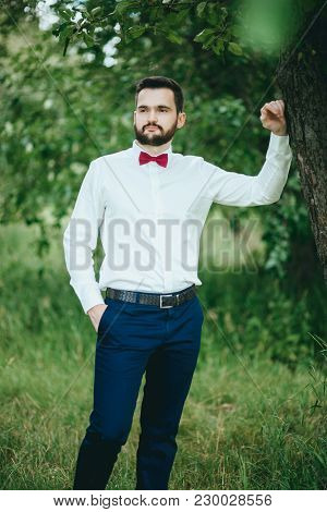 Stylish. Bearded Groom In A Butterfly Posing In The Park. Rustic Hipster Portrait.