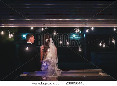 Enamored Newlyweds Gently Embrace. Wedding Ceremony In Nature. The Lights Of The Electric Garland Il