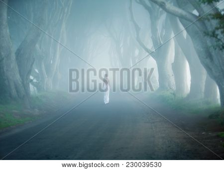 Dark Hedges, Ireland, Fogy Tree Lined Road, Woman Walk Away In White Long Dress
