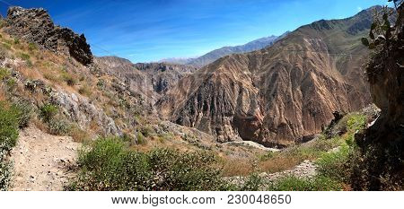 The Colca Canyon Near Cabanaconde In Southern Peru