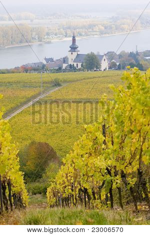 Oppenheim, Rheingau, Niemcy