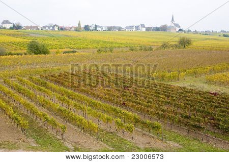 Hochheim, Rheingau, Saksa
