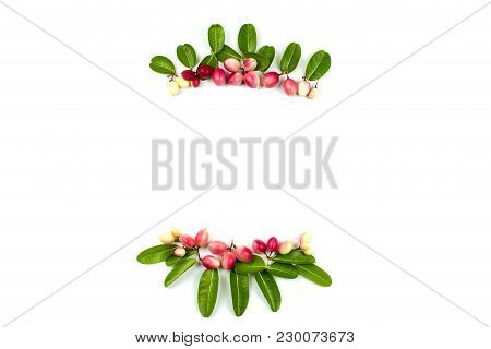 Decoration Of Carissa Carandas Tropical Fruit With Leaves On White Background. Flat Lay. Top View.